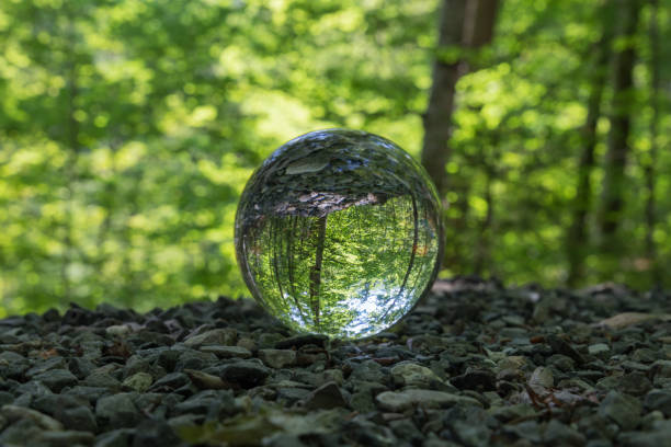 istock lensball in a forest in Germany 1268508344