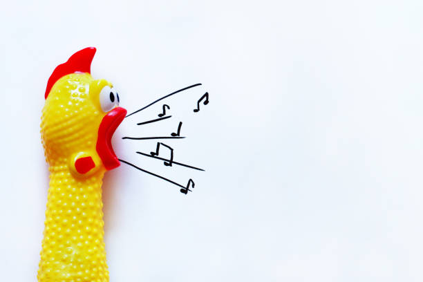 istock A bright yellow chicken plays a tune.Creative music background. 1268511293