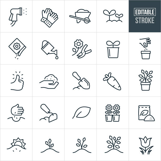 Gardening Thin Line Icons - Editable Stroke A set of gardening icons with editable strokes or outlines using the EPS file. The icons include a garden spray nozzle, gardening gloves, wheelbarrow, sprouted plants, seed packet, water pail, flower with shears, seed planting, green thumb, soil, garden shovel, carrot, tree in planting pot, hand planting seeds, leaf, garden hoe, flowers, fertilizer, growth stages and other related icons. fertilizer illustrations stock illustrations
