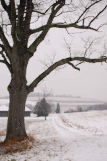 istock Winter 1268512826
