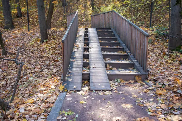 Wooden stairs with wheelchair ramp for bridge in park in autumn season.