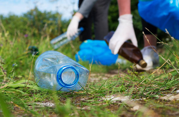 istock Volunteers collecting bottles in the forest. Environment pollution concept. 1268515464