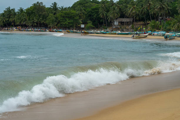istock waves on the beach, Arugam bay, Sri Lanka 1268529123