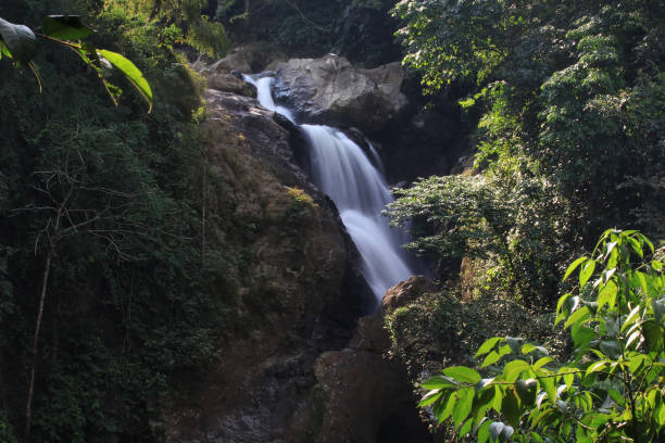 istock Waterfalls and beautiful nature 1268529705