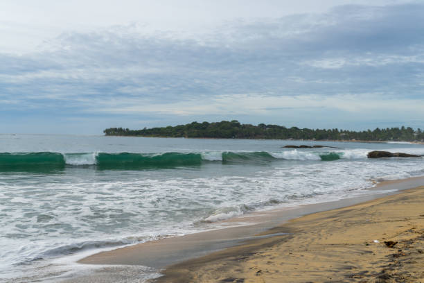 istock Tropical beach with palm trees. cloudy sky. 1268529863