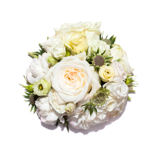 istock White flowers decor on white background 1268533836