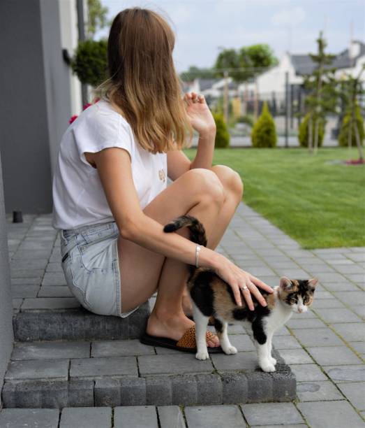 istock Woman is sitting and stroking a kitten 1268535655
