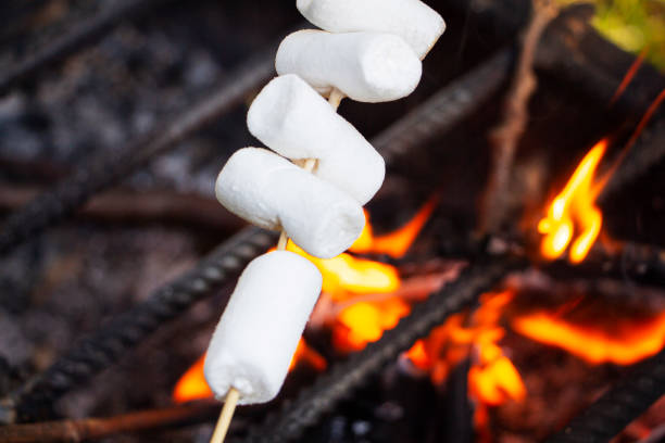 istock Marshmallows are fried over a fire. Toasted marshmallows on an open fire on a wooden stick. 1268537090