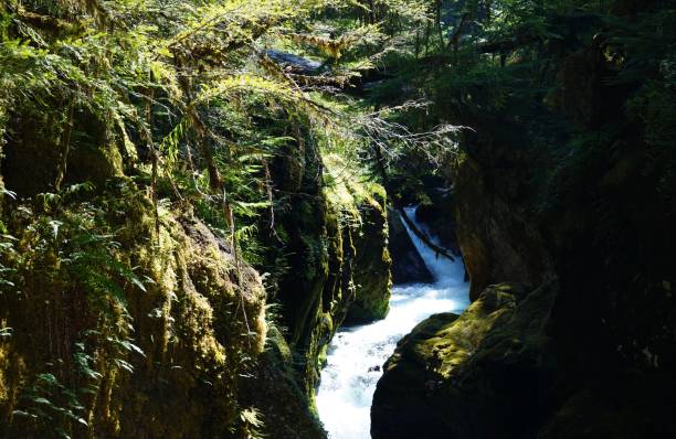istock Northwest Oregon Slot Canyon Light 1268538076
