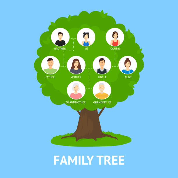 Cartoon Family Tree Infographics Concept Card Affisch Vektor-vektorgrafik  och fler bilder på Släktträd - iStock