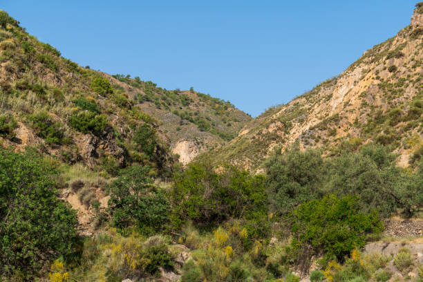 istock mountainous landscape in southern Spain 1268542206