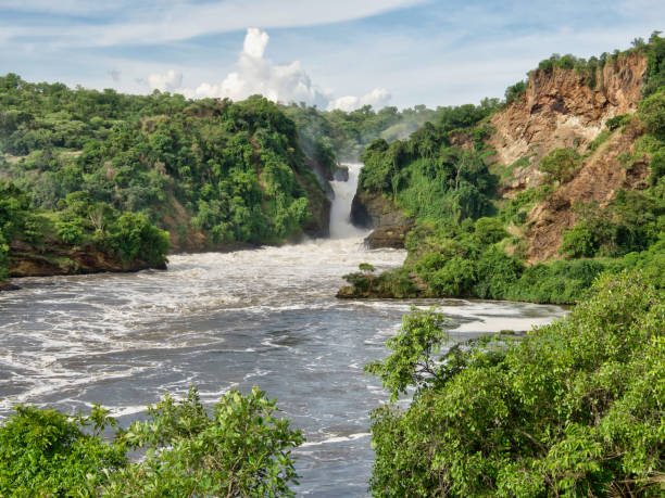 istock Waterfall in Murchison Falls National Park 1268542527