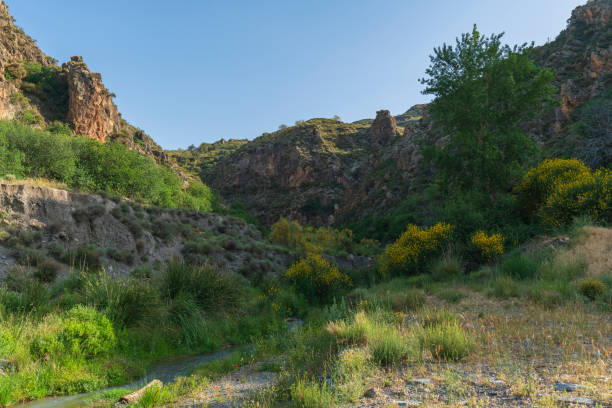 istock mountainous landscape in southern Spain 1268542595