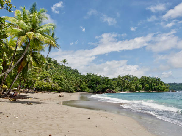 istock Relax aan het beach in Playa San Josecito 1268542666