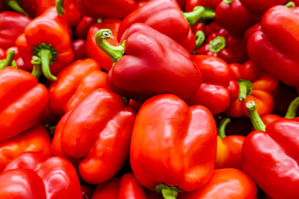 imagen de fondo de la fruta del pimiento rojo - pepper bell pepper growth ripe fotografías e imágenes de stock