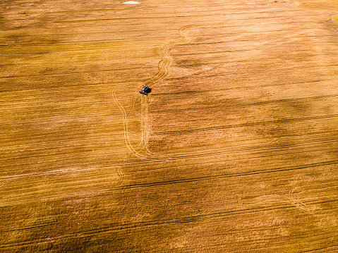 Harvesting season. Aerial shot directly above. Harvester in a field of wheat at work