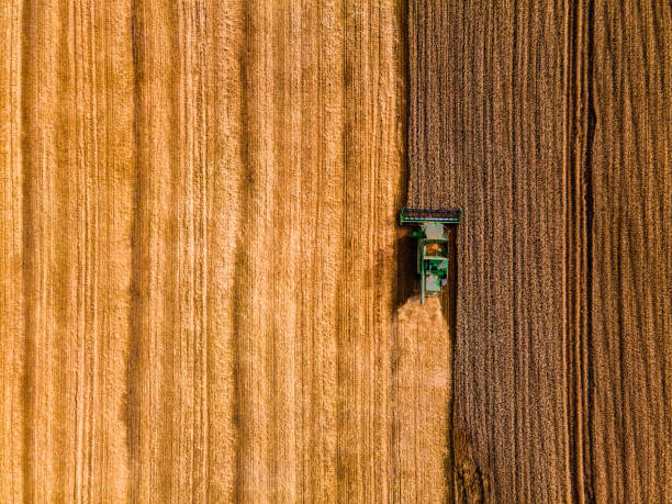 temporada de cosecha. disparo aéreo directamente arriba - tractor agriculture field harvesting fotografías e imágenes de stock
