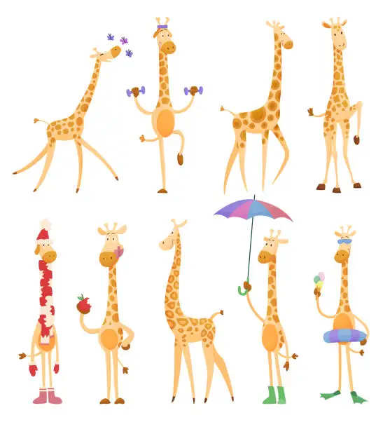 Vector illustration of Funny giraffes. Giraffes in a cartoon style, is isolated on white background.Trendy design little kids giraffes. Collection In different poses