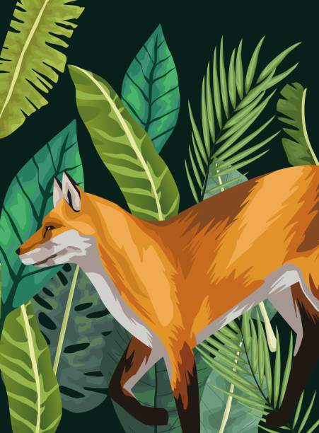 bildbanksillustrationer, clip art samt tecknat material och ikoner med vilda rävdjur i djungeln scenen - red fox snow