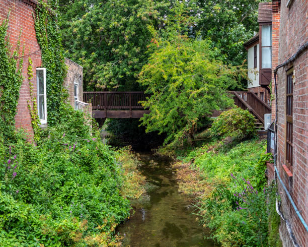 istock River Allen Flowing Through Wimbourne Minster in Dorset, UK 1268558863