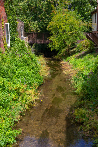istock River Allen Flowing Through Wimbourne Minster in Dorset, UK 1268559606