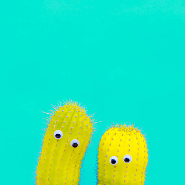 istock Two cactus hipsters with eyes. Funny candy minimal concept art 1268567157