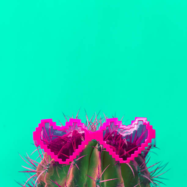 istock Cactus in stylish sunglasses hearts. Cactus creative art 1268567269