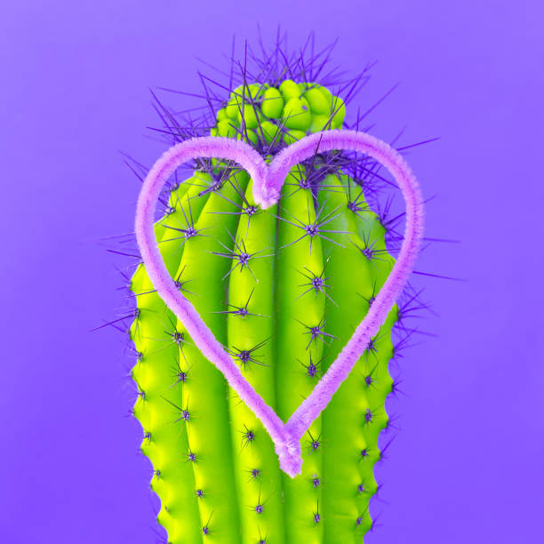 istock Cactus and heart. Cactus lover minimal concept art 1268568702