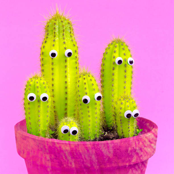 istock Big cactus family. Creative cactus concept 1268568768