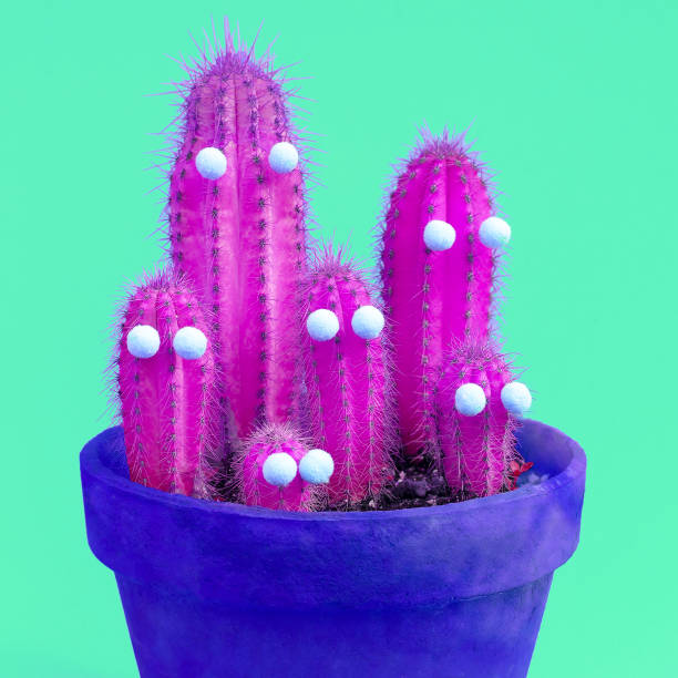 istock Purple hipster family Cactus Minimal creative art 1268568794
