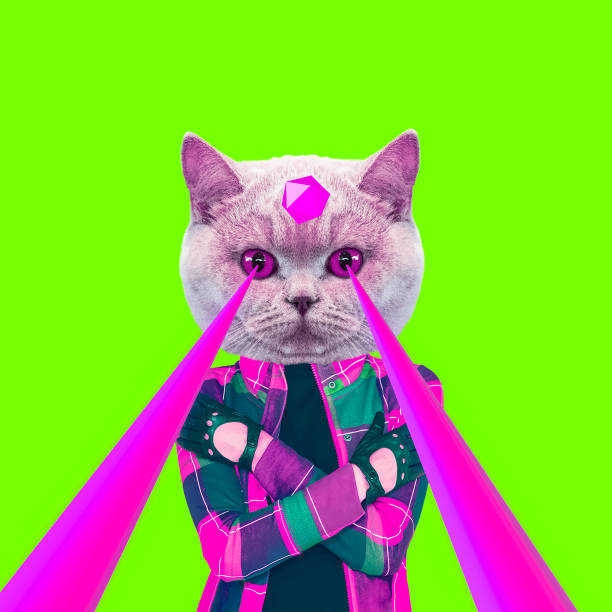 Fashion hipster Cat with lasers from eyes. Animal fun collage art stock photo