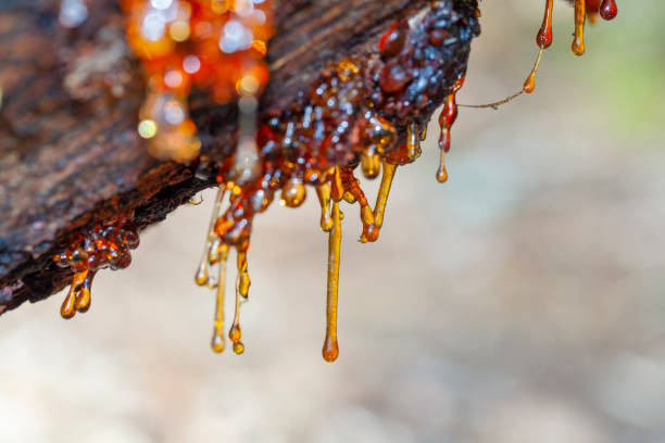 Resin drops