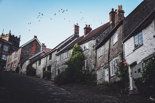 Bird Flock Above Houses In Shaftesbury, UK