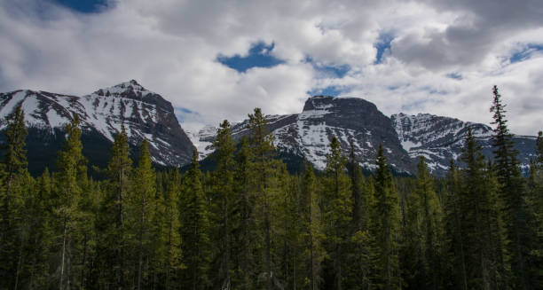 istock Snow capped mountains in Jasper National Park 1268573474