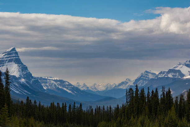 istock Snow capped mountains in Jasper National Park 1268573493
