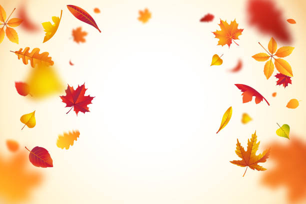 ilustraciones, imágenes clip art, dibujos animados e iconos de stock de hojas de otoño de colores caídas con efecto desenfoque desenfocado. fondo de otoño con caída de hoja para su diseño. ilustración vectorial. - autumn leaf falling wind