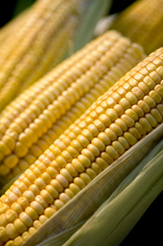 healthy and fresh tasty vegetables corn