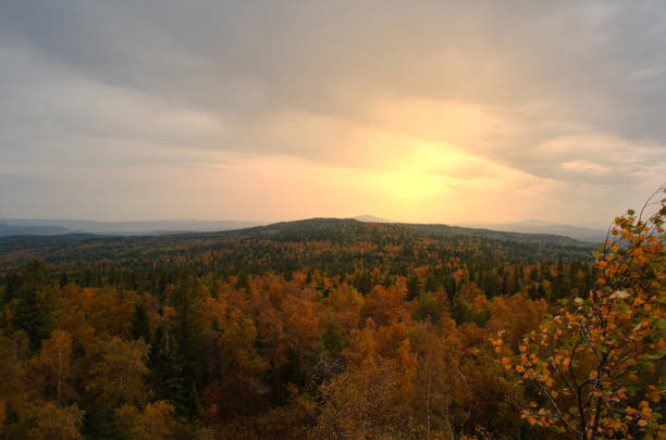 Autumn forest season in Russia