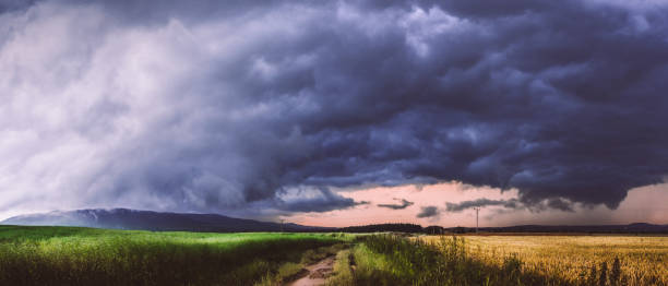 il fronte atmosferico tempestoso proviene dalle montagne, la vista dal prato. - storm wheat storm cloud rain foto e immagini stock