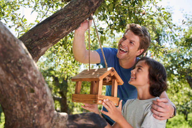 Woman filling food in birdhouse mounted on tree
