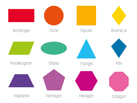 Every Normal Shape Geometric Shapes With Labels Set Of 12 Basic Shapes Simple Flat Vector ...
