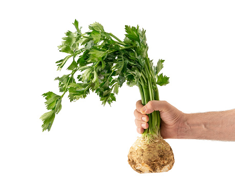 Celery, Celeriac, Cut Out, Root, Vegetable
