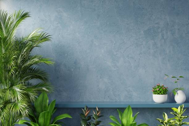 istock Shelf on blue wall with green plant. 1268593470