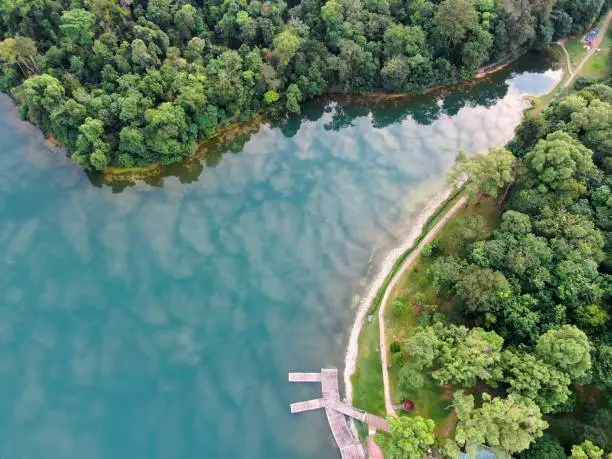 Photo of MacRitchie Reservoir Aerial View