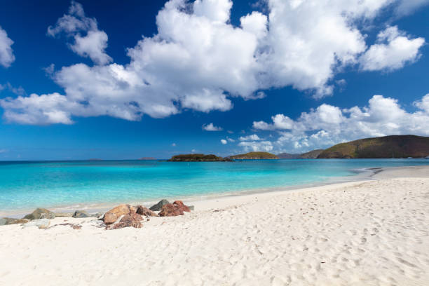 istock beautiful tropical beach, Cinnamon Bay, st. john 1268595496