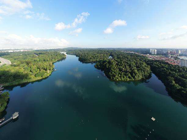 istock MacRitchie Reservoir Aerial View 1268595623