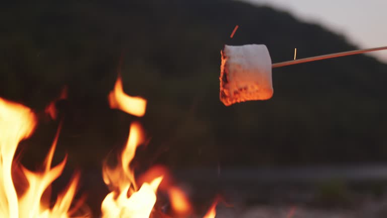 Marshmallows roasting on a campfire