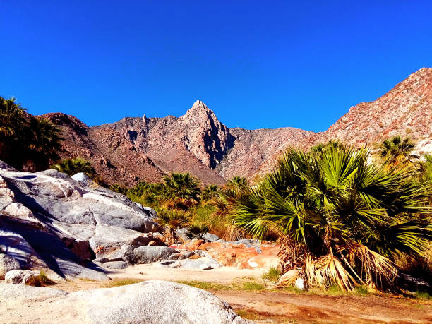 Mountain Top at Palm Springs