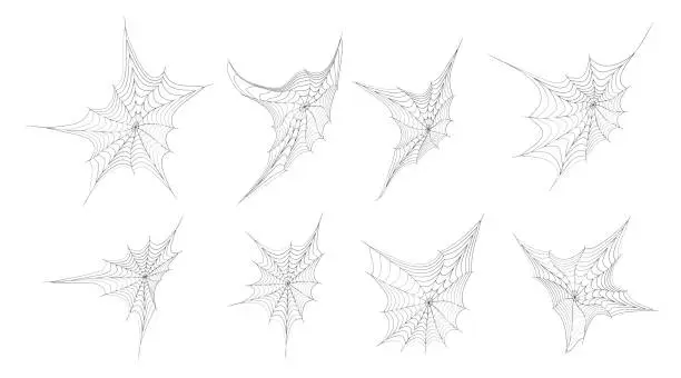Vector illustration of corner spider web fluttering in wind. Design element for Halloween. Black and white vector