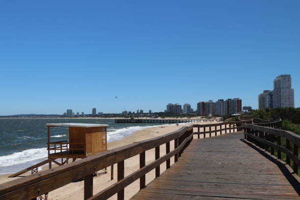 istock Panoramic view from the edge of Mansa beach 1268605519